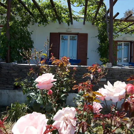 Nikoleta Studios