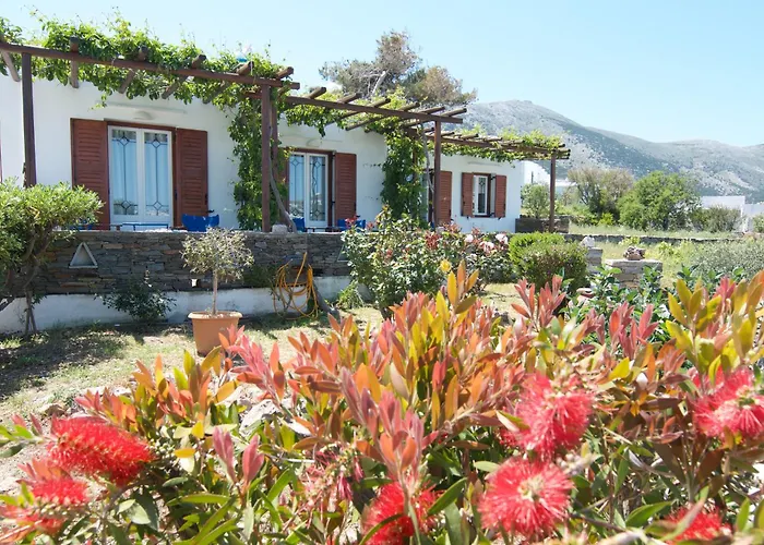 Nikoleta Sifnos * Apollonia